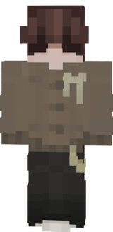 WSfzb