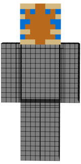 vsdvsa