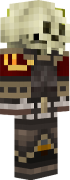 MC Skin 5