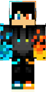 skin