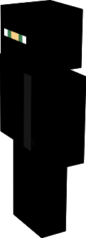 Sgninja