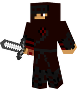 LeNinje