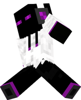 dj enderman
