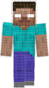 Steve