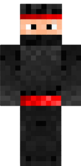 ninja