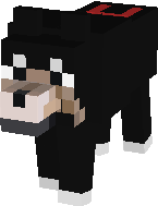 Hunter