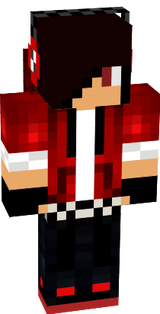 skin