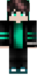 skin