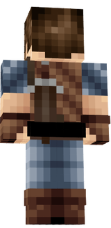 GeoMiner