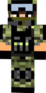 Armée de terre 