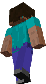 steve