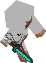 WS5