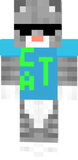 CaT TvSS