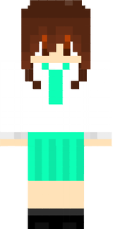skin wp