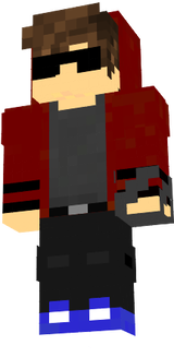 Skinim