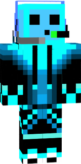 skin