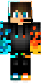 skin