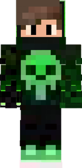_Pvp_2017_