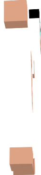 tt