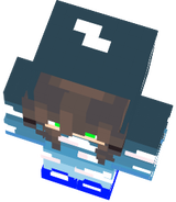 впо