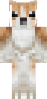  ftt