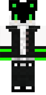 Skinul meu