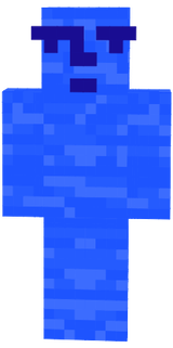 danskin