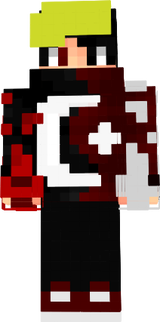 DS
