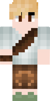 MRSam