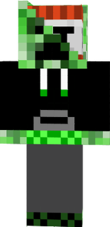 13232