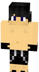 new shadow303 h:p