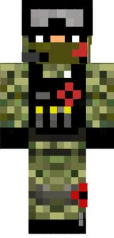 Bundeswehr [verletzt]