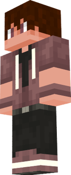 erickskinmakeredition