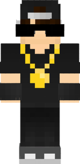 panne2551