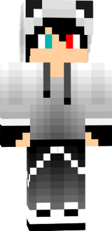 Minecraft skin Win5