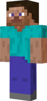 steve