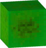 pumkin egt