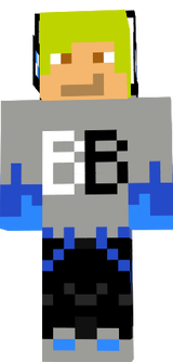 BB-Skin updated