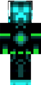 skin