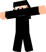 NINJA 2
