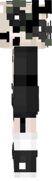 13253256