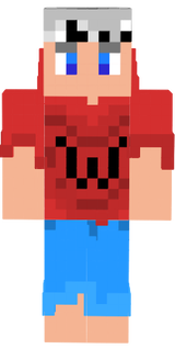 Skin 1