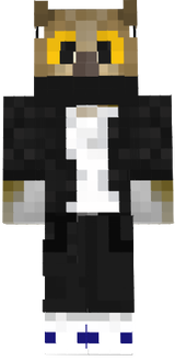 Owl 30