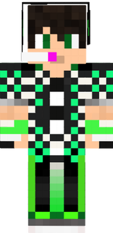 skin