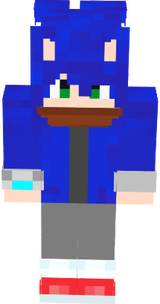 sonic_human