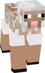 sheep