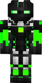 skin