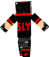 slyskin