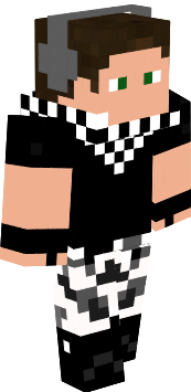 Preview of texture: pipa