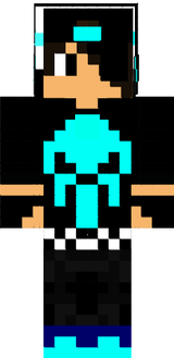 skin222